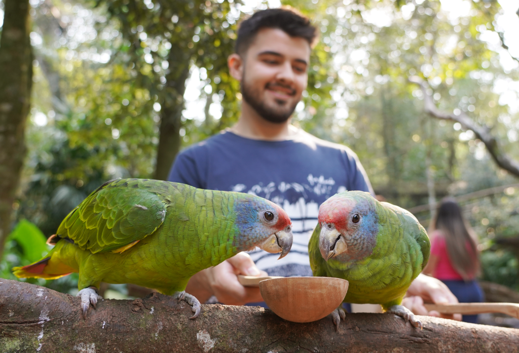 eventos-em-foz-parque-das-aves