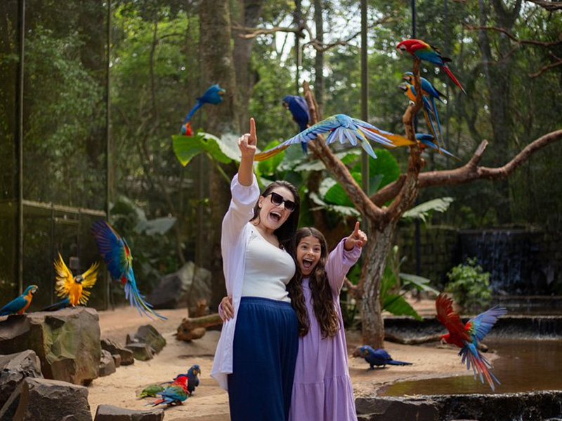 roteiro em Foz do Iguaçu