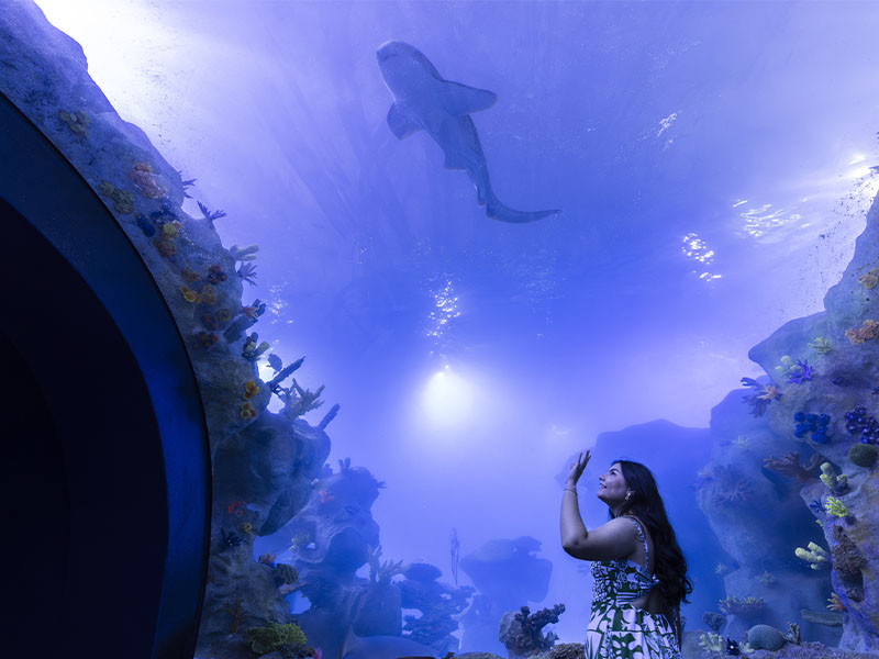 animais no AquaFoz